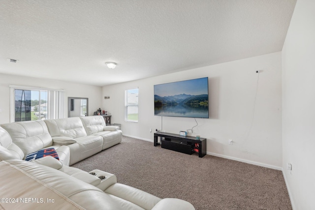 living room featuring a textured ceiling, carpet floors, and plenty of natural light