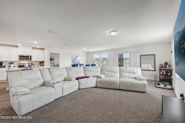 living room with carpet and a textured ceiling