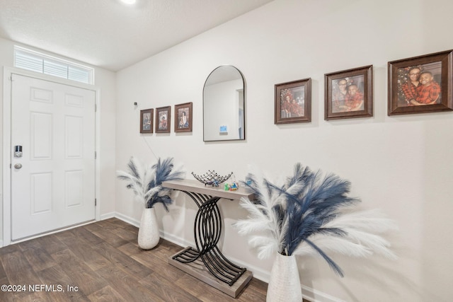 entryway featuring dark wood-type flooring