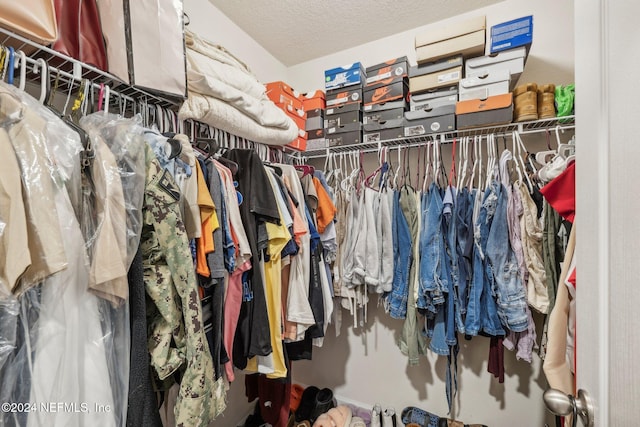 view of spacious closet