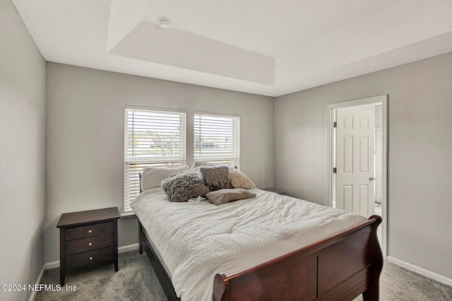 carpeted bedroom featuring a tray ceiling