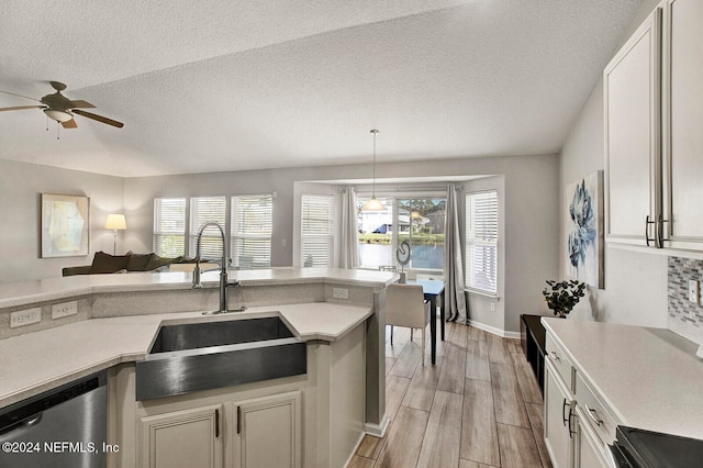 kitchen featuring sink, plenty of natural light, stainless steel dishwasher, and light hardwood / wood-style flooring