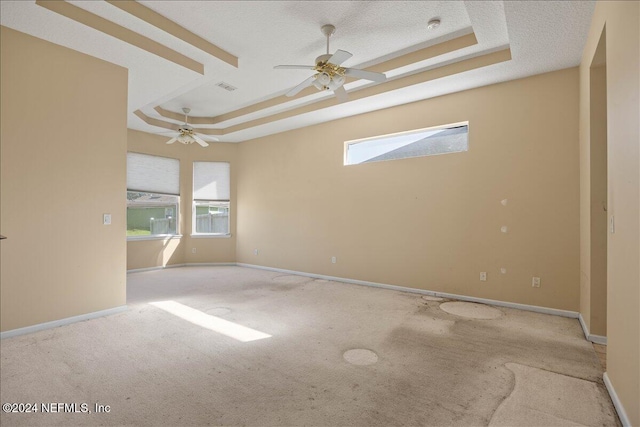 carpeted spare room featuring a raised ceiling, a healthy amount of sunlight, and a textured ceiling