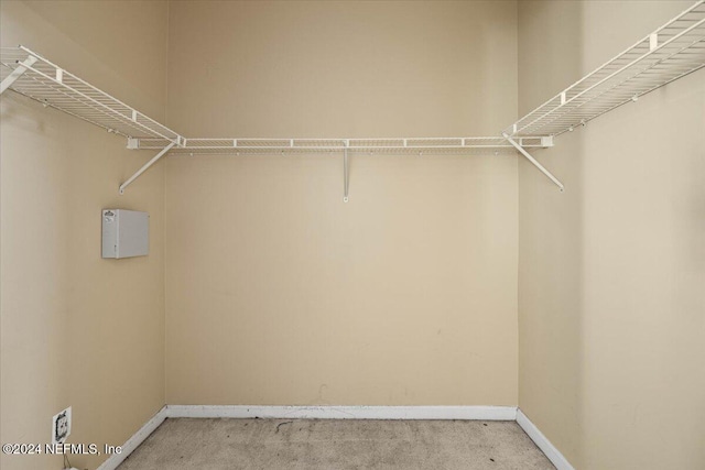 walk in closet featuring carpet flooring