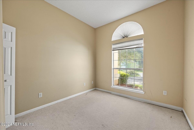 carpeted empty room featuring a textured ceiling