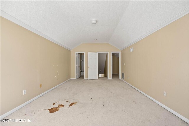 additional living space featuring light carpet, a textured ceiling, and vaulted ceiling