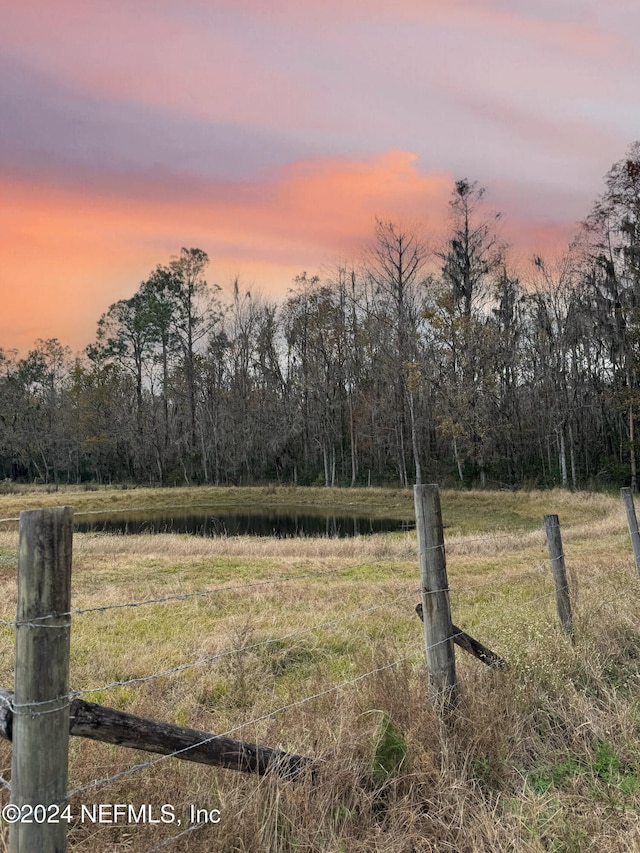 view of yard at dusk