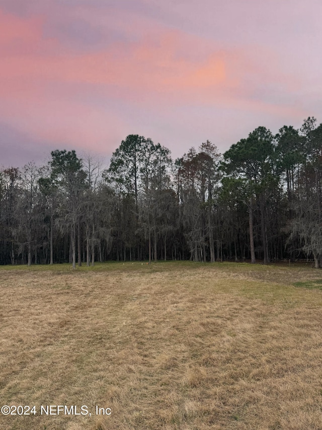 view of nature at dusk