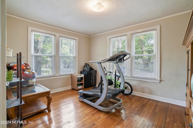 exercise room with a healthy amount of sunlight, wood-type flooring, and crown molding