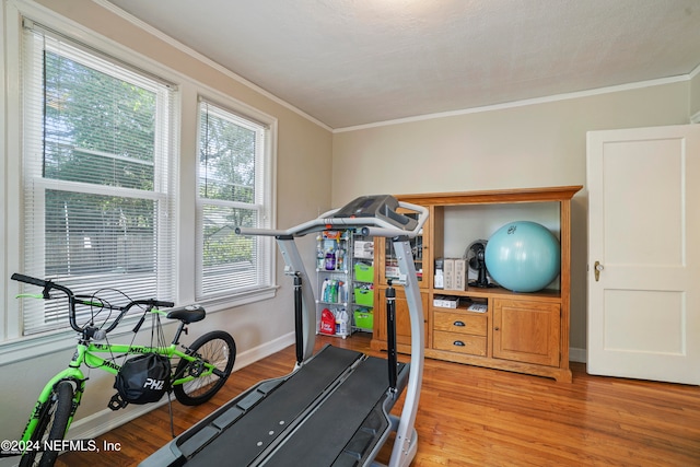 workout area with ornamental molding, a healthy amount of sunlight, and wood-type flooring