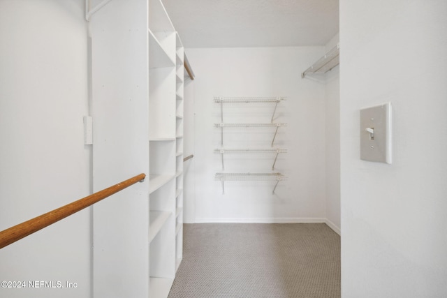 walk in closet featuring light carpet