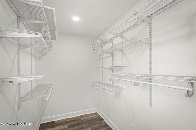 spacious closet featuring dark wood-type flooring