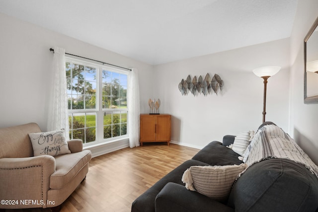 living room featuring light hardwood / wood-style flooring