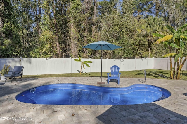 view of swimming pool with a patio