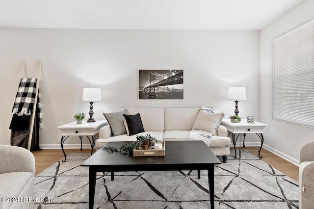 living room with hardwood / wood-style floors