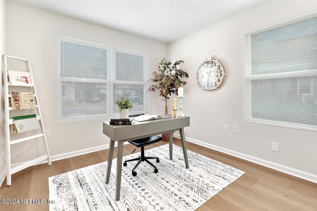 home office featuring hardwood / wood-style flooring