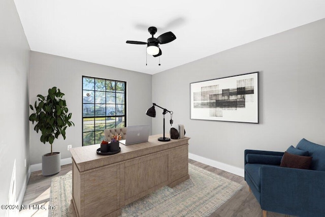 office space with ceiling fan and light hardwood / wood-style floors