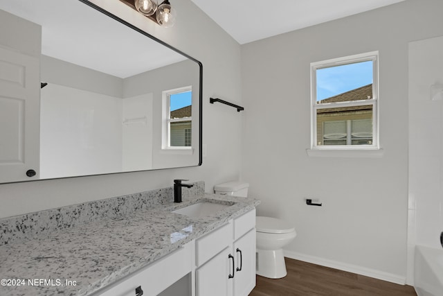 bathroom with hardwood / wood-style floors, vanity, and toilet