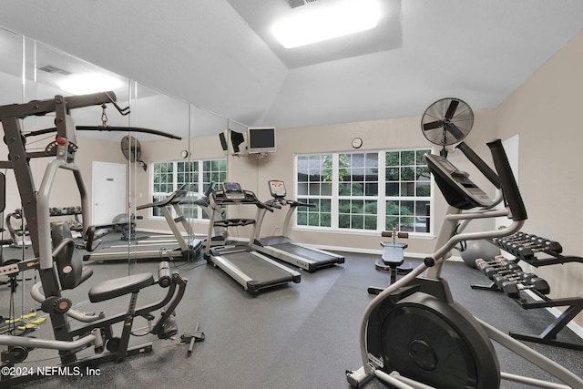 exercise room featuring lofted ceiling