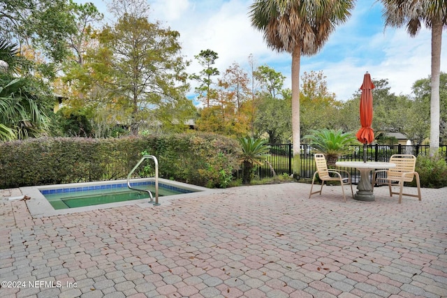 view of pool with a patio