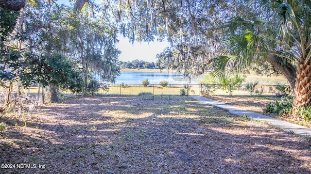 view of yard featuring a water view