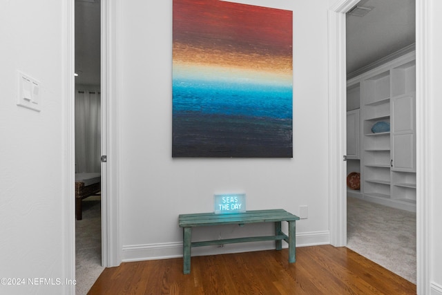 1869 S 2nd St, Jacksonville Beach, FL 32250 - detailed view of wood finished floors, baseboards, and built in shelves