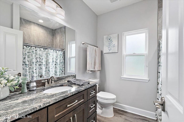 11018 Seneca Ln, Glen St Mary, FL 32040 - bathroom with wood finished floors, vanity, baseboards, toilet, and a shower with curtain