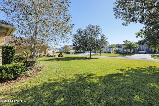 view of yard with a residential view