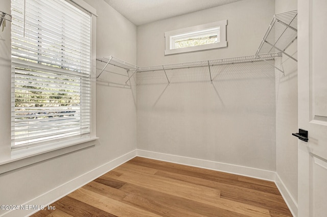 spacious closet featuring wood-type flooring