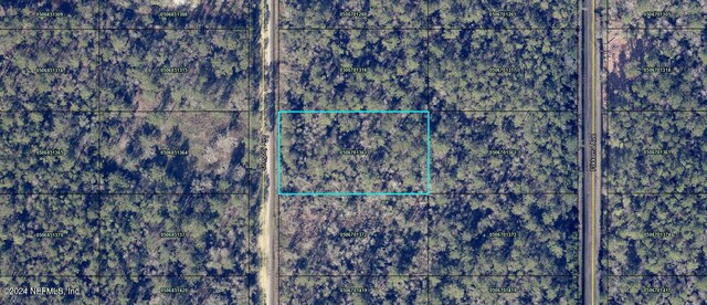 0000 Gregory Ave, Hastings FL, 32145 land for sale