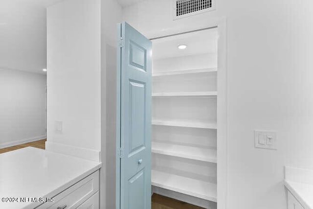 interior space with hardwood / wood-style flooring and vanity