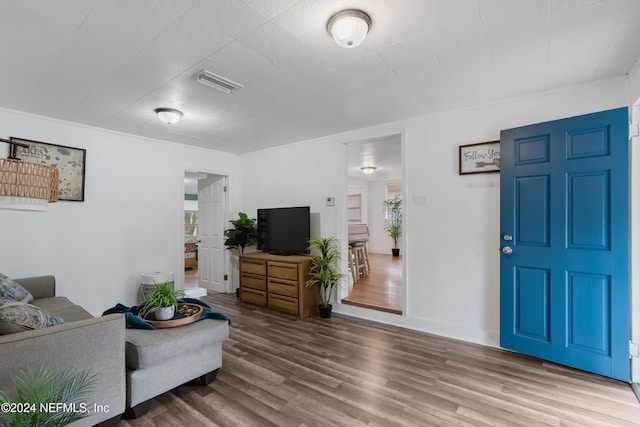 living room with hardwood / wood-style flooring