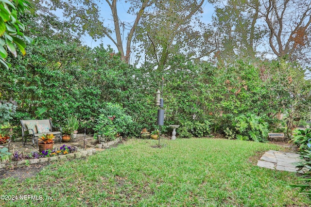 view of yard with a patio area