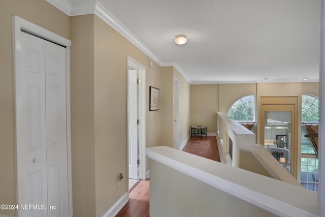 hall with plenty of natural light, dark hardwood / wood-style floors, and crown molding