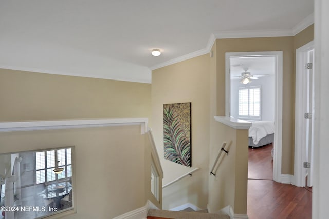 stairway featuring crown molding, a healthy amount of sunlight, and wood-type flooring