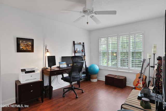 office featuring dark hardwood / wood-style flooring and ceiling fan