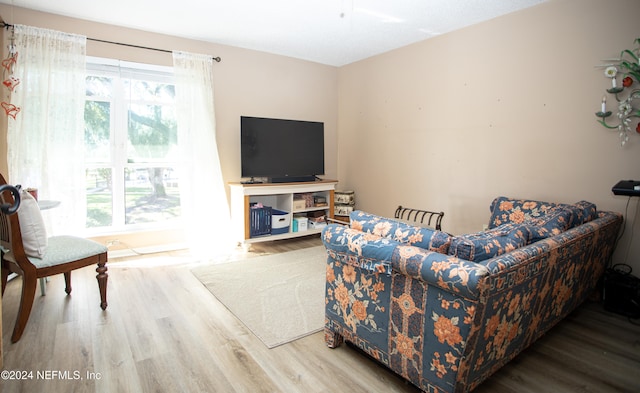 living room featuring hardwood / wood-style flooring