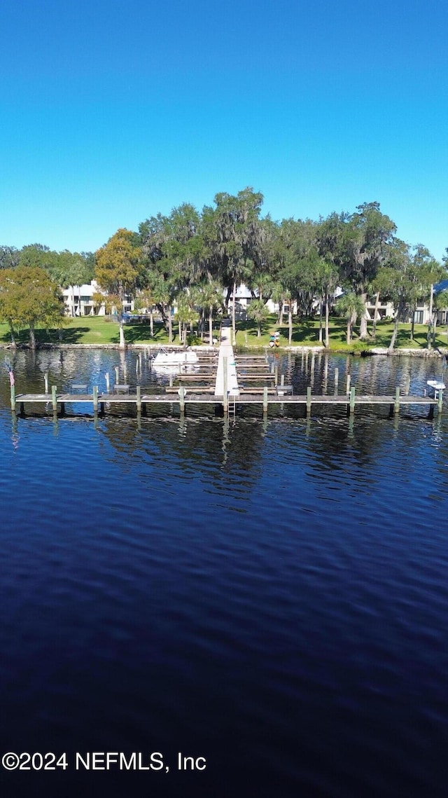 dock area with a water view