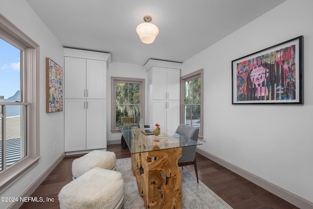 home office featuring dark hardwood / wood-style floors and a healthy amount of sunlight