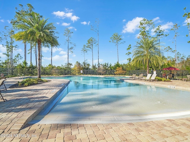 view of swimming pool featuring a patio area