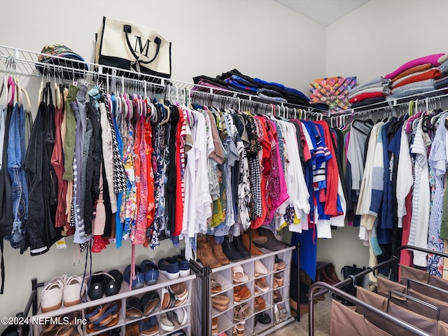 spacious closet with carpet