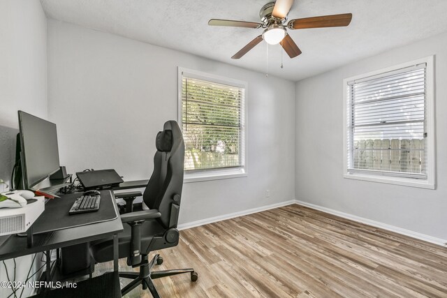 office with a textured ceiling, light hardwood / wood-style flooring, and ceiling fan