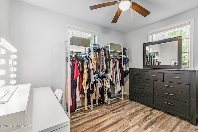 spacious closet featuring ceiling fan and light hardwood / wood-style floors