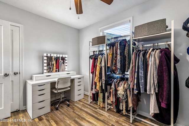 walk in closet with ceiling fan and wood-type flooring