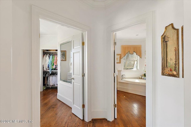 hall featuring wood finished floors and ornamental molding