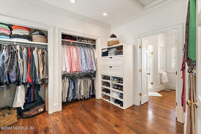 walk in closet featuring wood finished floors