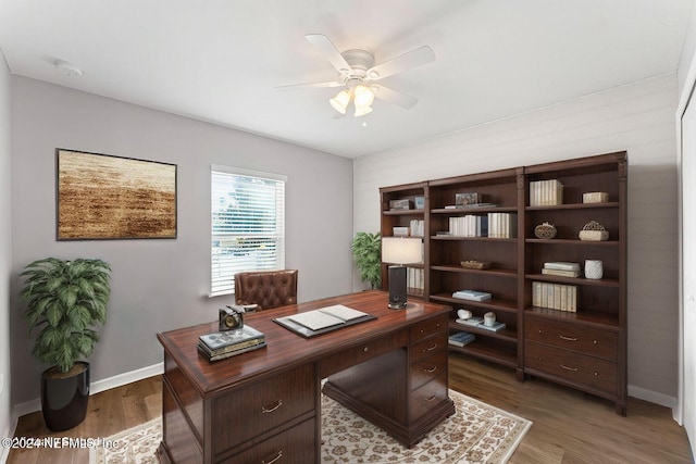 office featuring ceiling fan and dark hardwood / wood-style floors