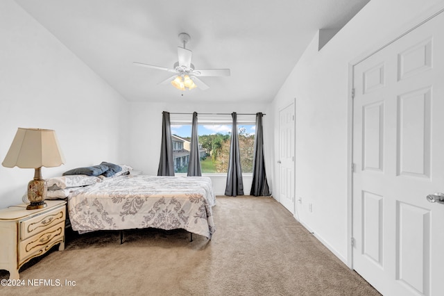 bedroom featuring ceiling fan and carpet