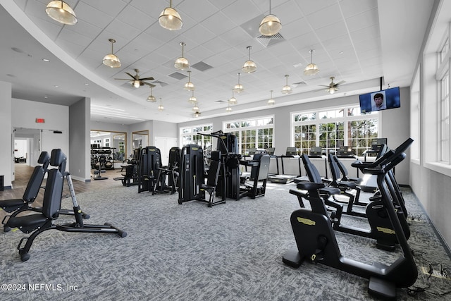 exercise room with carpet, ceiling fan, a drop ceiling, and a raised ceiling