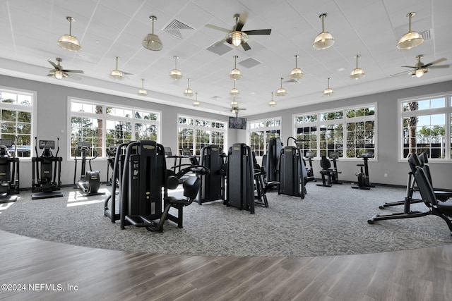 exercise room with ceiling fan and wood-type flooring